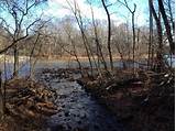 Pictures of Hiking Trails In Bucks County Pa