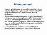 Management Of Cholangitis Pictures