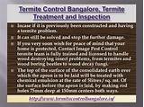 Termite Treatment Bangalore Photos