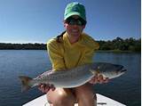 Cedar Key Fishing Report Pictures