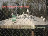 Pictures of Stainless Steel Aviary Netting