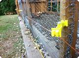 Best Electric Fence For Chickens