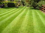 Perfect Cut Lawn And Landscaping
