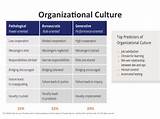 Organizational Culture Of A Company Images