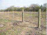 Photos of 5 Strand Barb Wire Fence Spacing