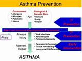 Asthma Treatment In Ayurveda