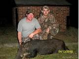 Photos of Hog Hunting Outfitters In South Carolina