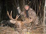 Alberta Moose Outfitters Images