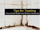 Treating Mold In Home Pictures