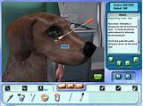 Photos of Animal Doctor Vet Games