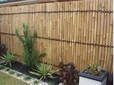 Bamboo Backyard Fencing Images