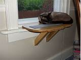 Diy Cat Window Shelf