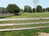 Pictures of Horse Rail Fencing