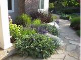Drought Tolerant Backyard Landscaping Ideas Pictures