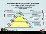 Master Data Management Roles
