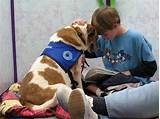 Pictures of Animal Assisted Therapy Jobs