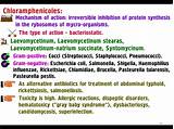 Side Effects Of Tetracycline For Acne