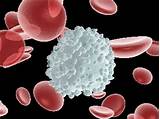 Photos of Mesenchymal Stem Cells Treatment