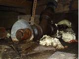 Replacing Sewer Pipe In Crawl Space Photos
