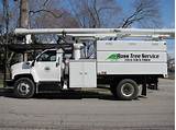 Ross Tree Service Images