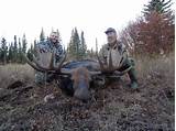 Images of Alaska Bear Hunting Outfitters