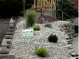 Pictures of White Rock Landscaping
