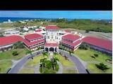 American University Of Antigua Accreditation