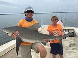 Pictures of Fishing Charters Fort Myers Beach Fl