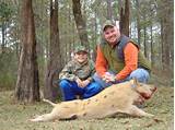 Hog Hunting Outfitters In South Carolina