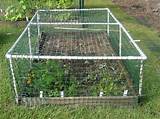 Images of Protective Garden Fencing