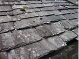 Types Of Shingle Roofs Pictures