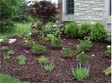 Pictures of Wood Chips Or Rock Landscaping