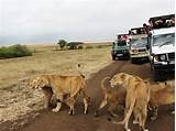 Images of African Safari Package