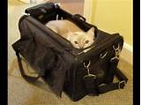 Photos of Airline Approved Dog Carrier