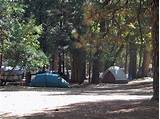 Yosemite National Park Camping Reservations Pictures