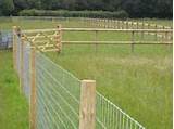 Photos of Electric Dog Fence For Large Yards