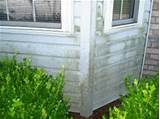Chemicals To Remove Algae From Vinyl Siding Pictures
