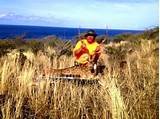 Lanai Hunting Outfitters Images