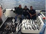 Images of Salmon And Halibut Fishing In Alaska