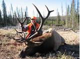Images of Elk Hunting Outfitters Colorado