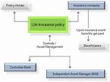 Photos of Types Of Life Insurance