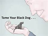 Black Dog Depression Photos