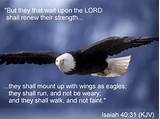 Eagle Quotes Images Pictures