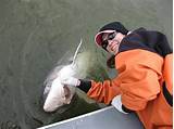 Do You Need Fishing License For Catch And Release Photos