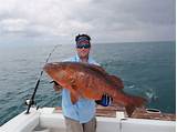 Panama Sport Fishing Images