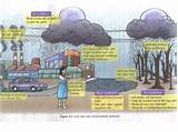 Images of Effects Of Acid Rain On Human Health