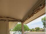 Termite Roof Treatment Pictures