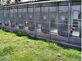 Dog Kennels For Boarding Facilities