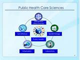 Public Health Sciences