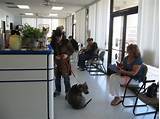 Images of Vca Animal Hospital Henderson